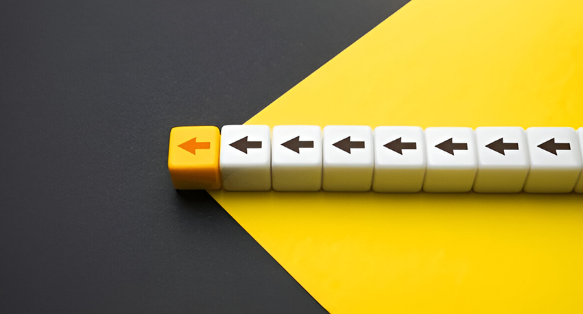 Market Research & Feasibility Studies